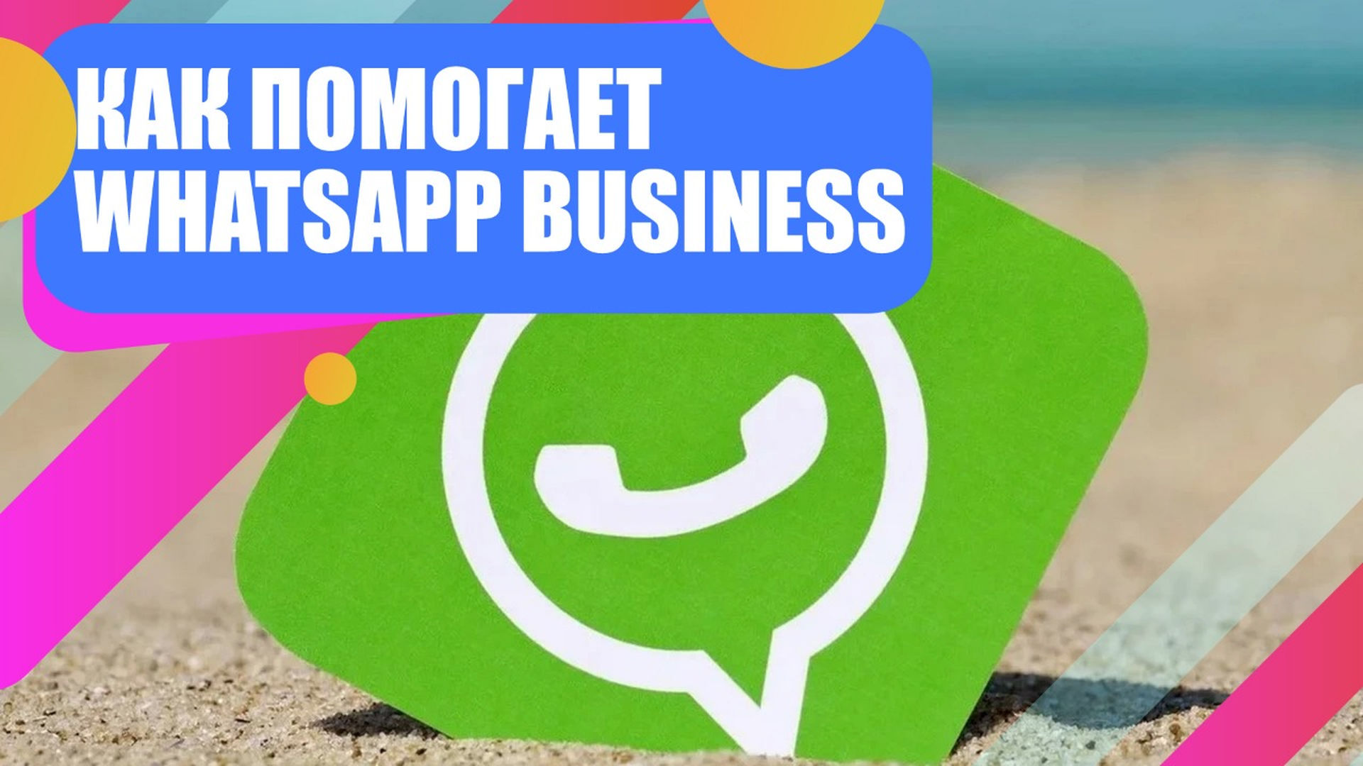 Бизнес – аккаунт в WhatsApp: что это и как с его помощью увеличить количество клиентов?